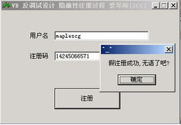 VB共享軟件防破解設(shè)計技術(shù)初探與制作指南